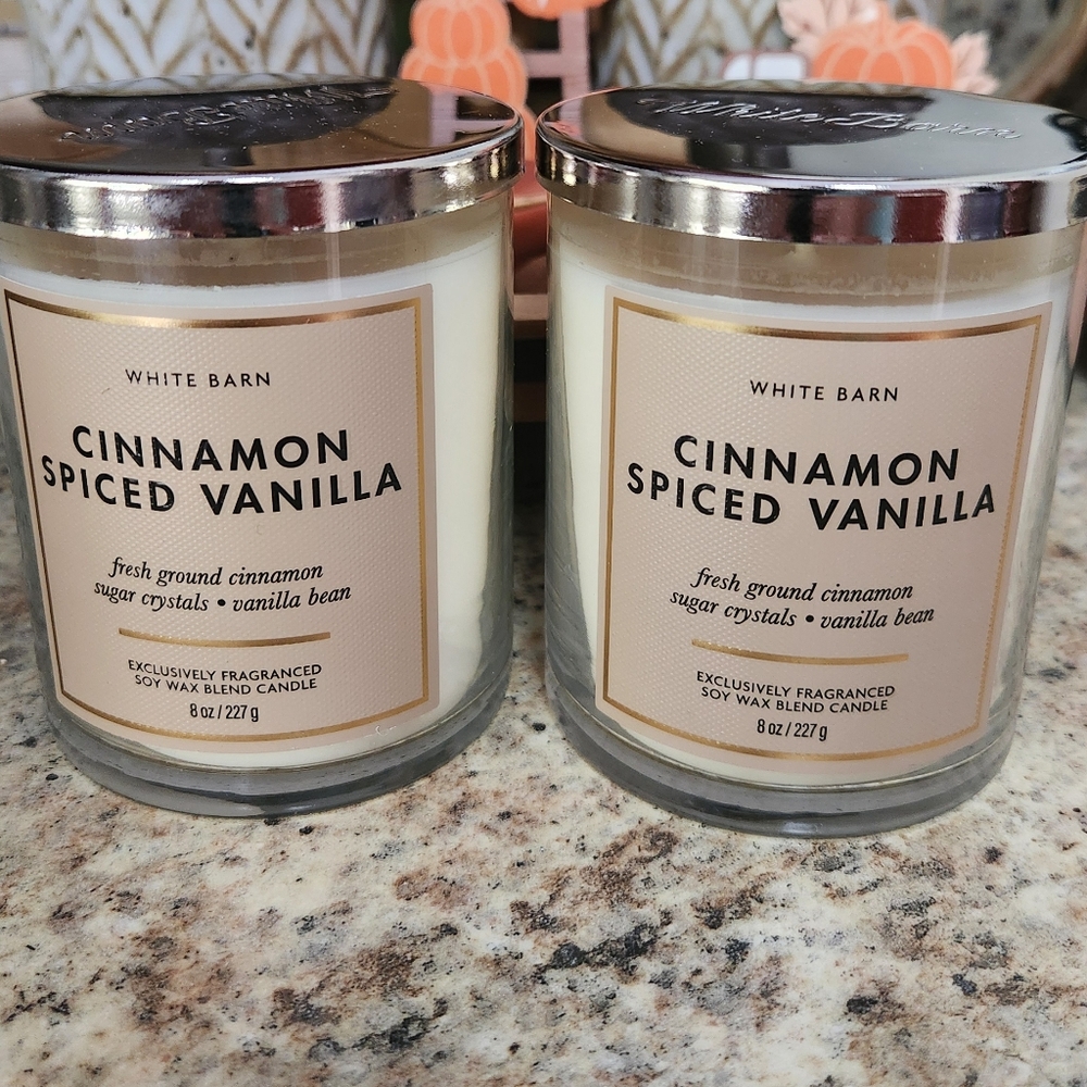 NWT Bath and Body Works "Cinnamon Spiced Vanilla" Single Wick Candle Bundle of 2